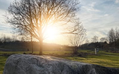 Saker som gjort mig glad den senaste veckan