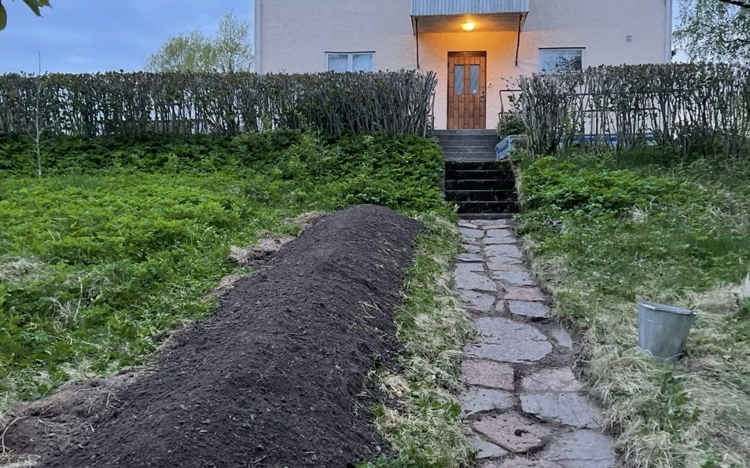 Gömda hemligheter i min trädgård. Del 1